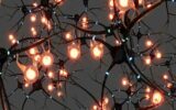 How Automated Liquid Handling Is Revolutionizing Neuroscience