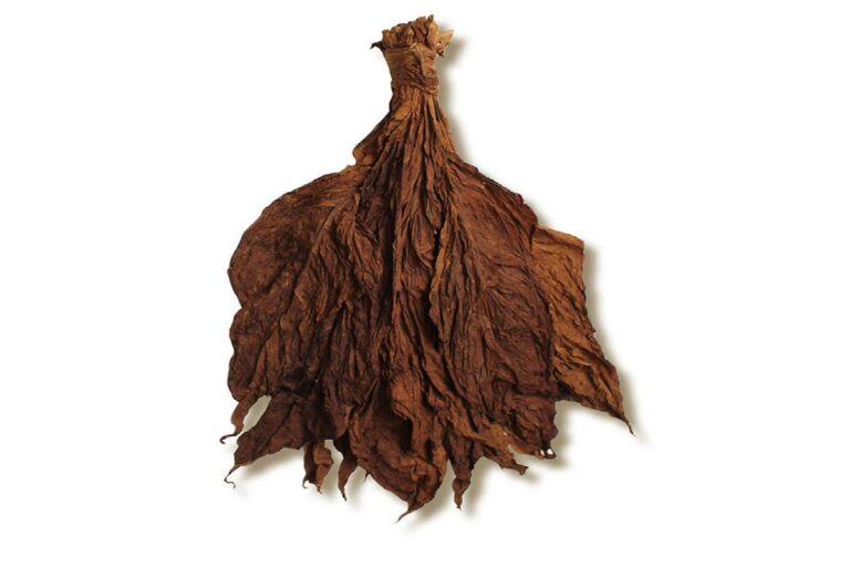 Cultural and Historical Roots of Grabba Leaf