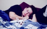 How Pets and Mental Health Support Work Together (1)
