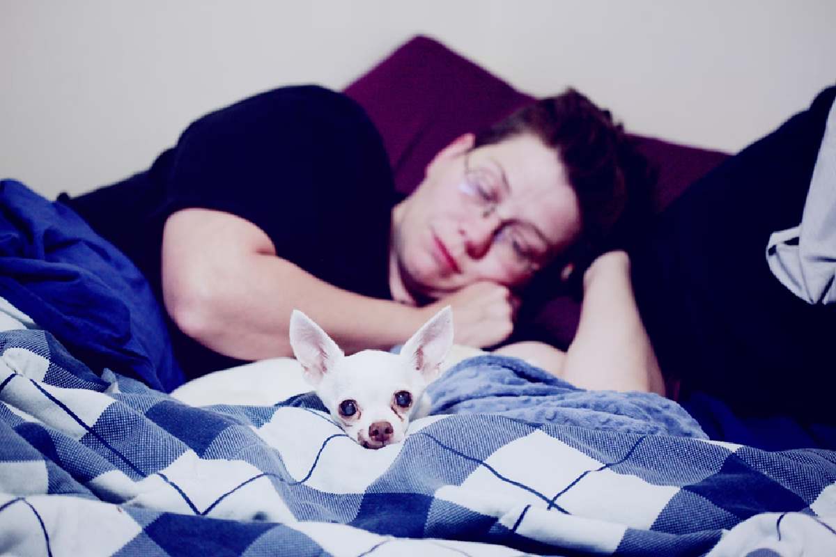 How Pets and Mental Health Support Work Together (1)