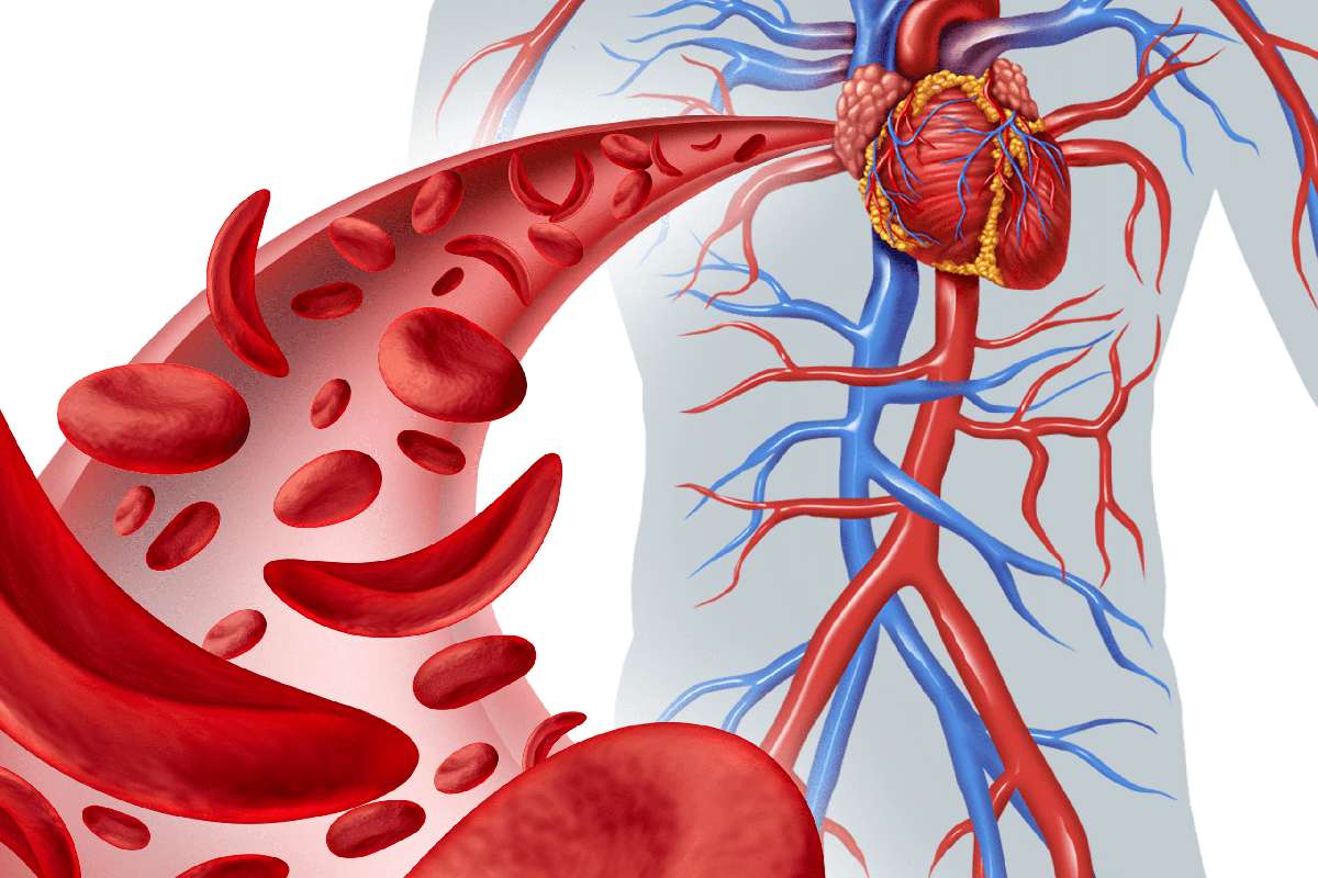 Healthy Circulation, Healthy Life: How Vein Health Impacts Your Overall Well-being